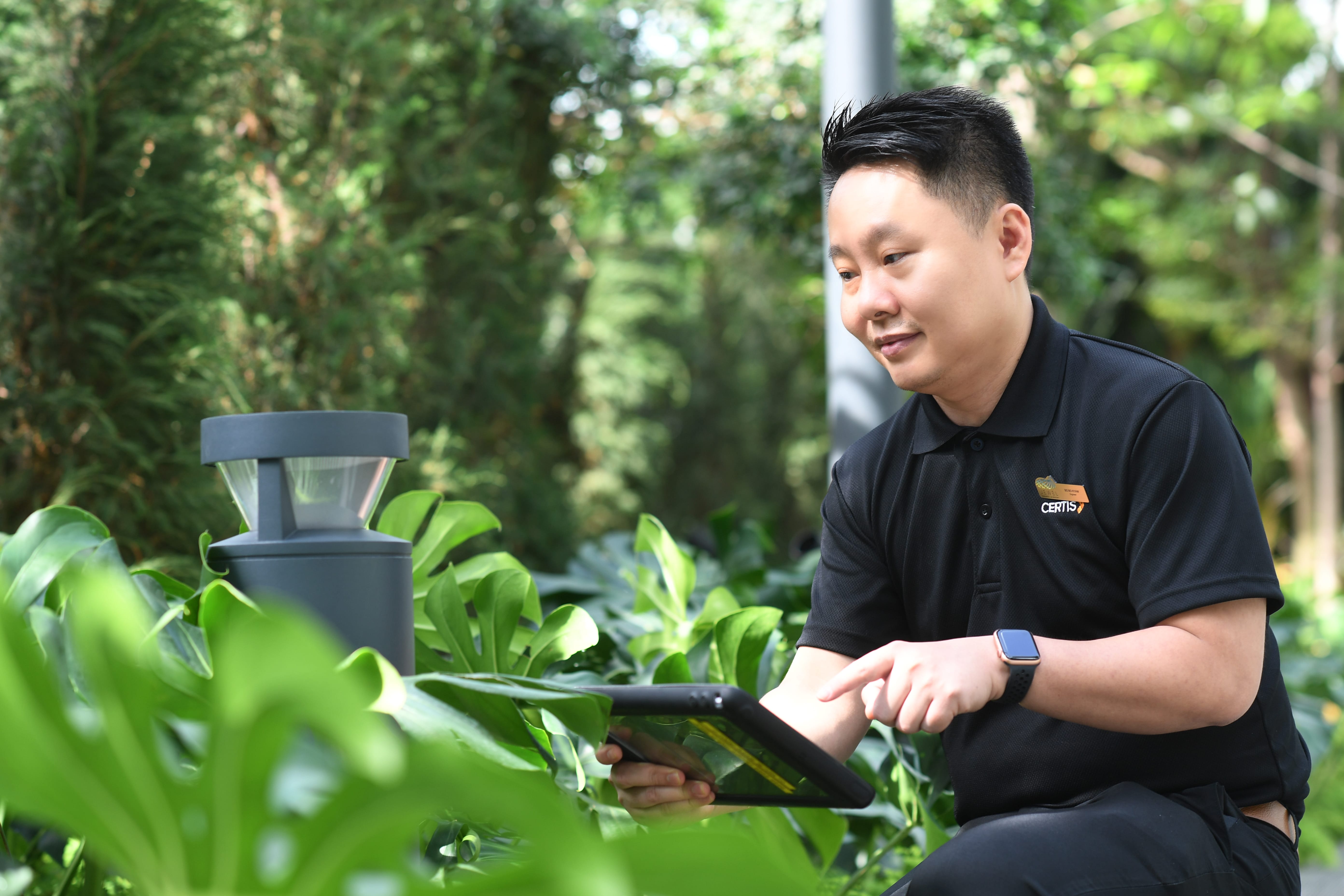 Person in Certis uniform using a tablet device among green foliage.