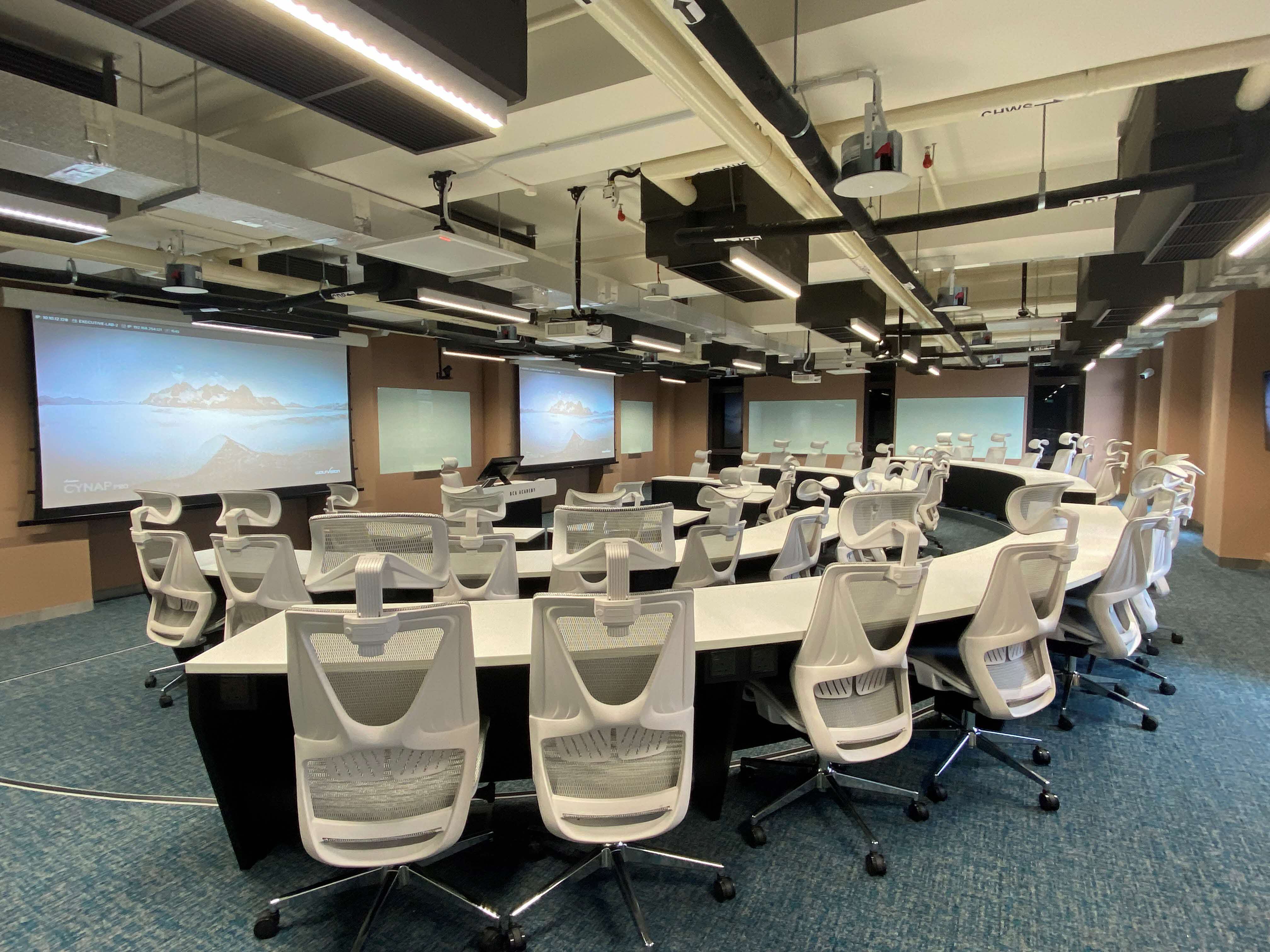 Executive learning labs