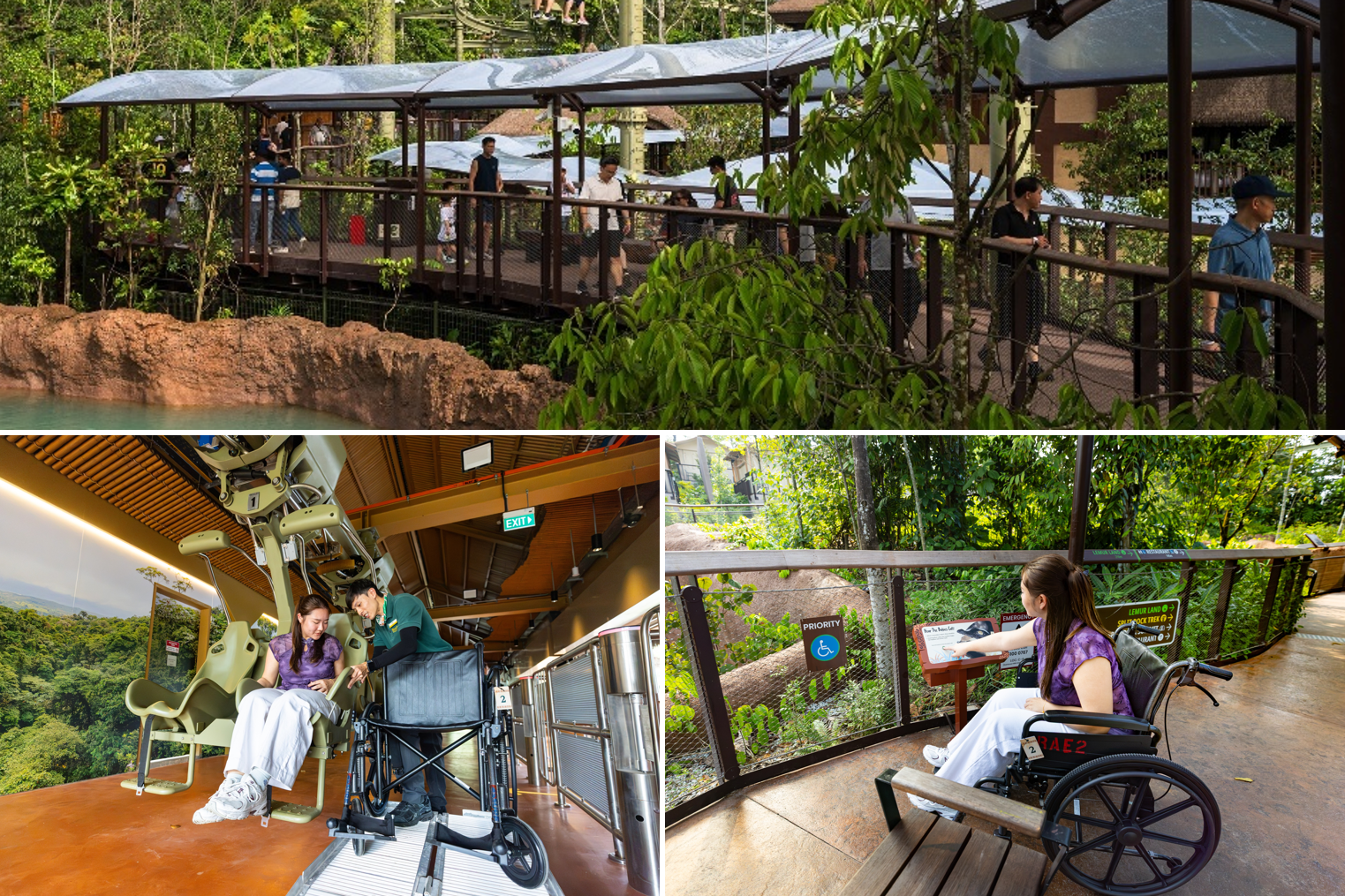 Collage of user-friendly features in Rainforest Wild Adventure EAST