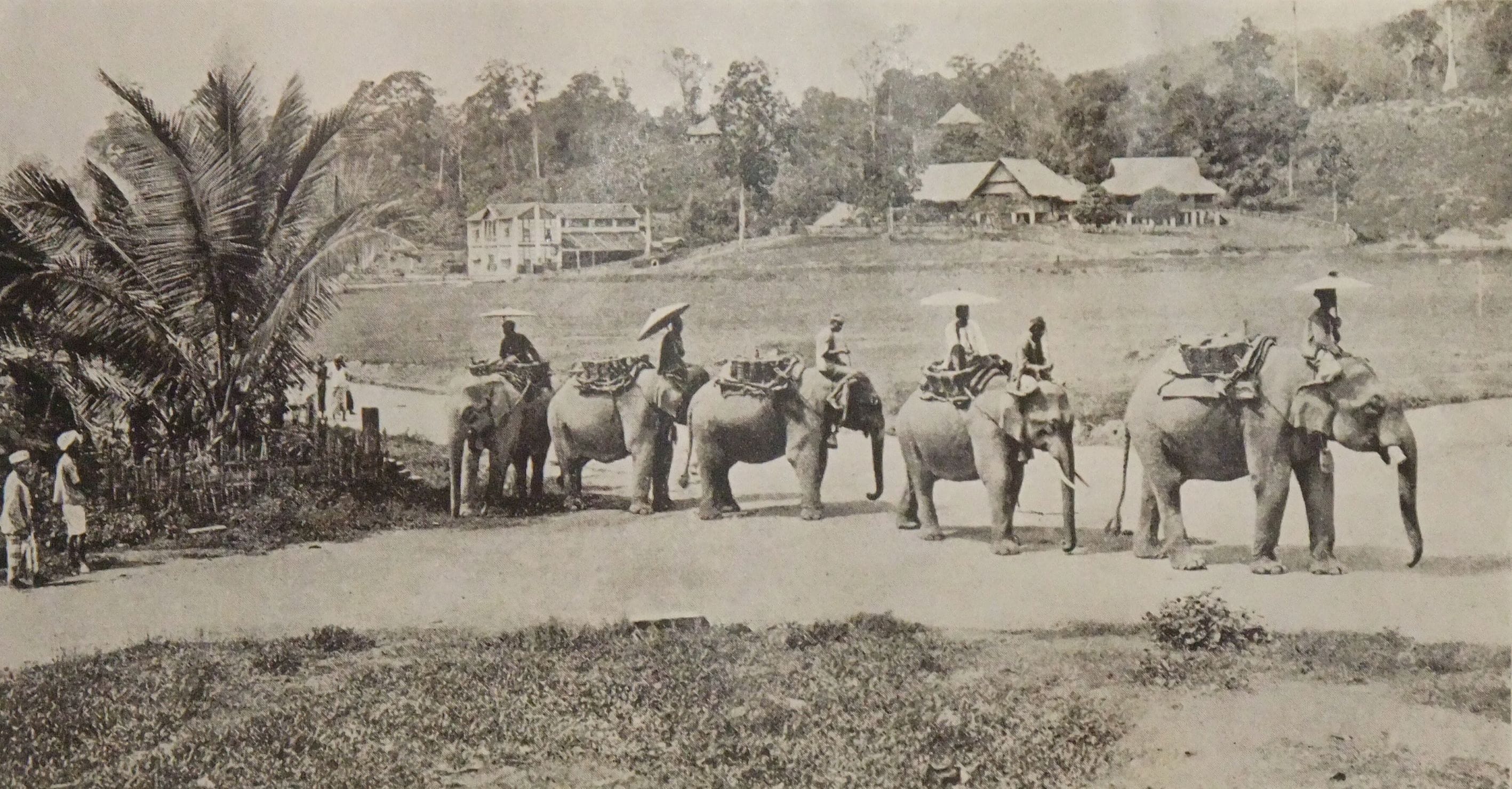 Elephants carrying panniers. An Illustrated Guide to the Federated Malay States, 1910, p. 70.