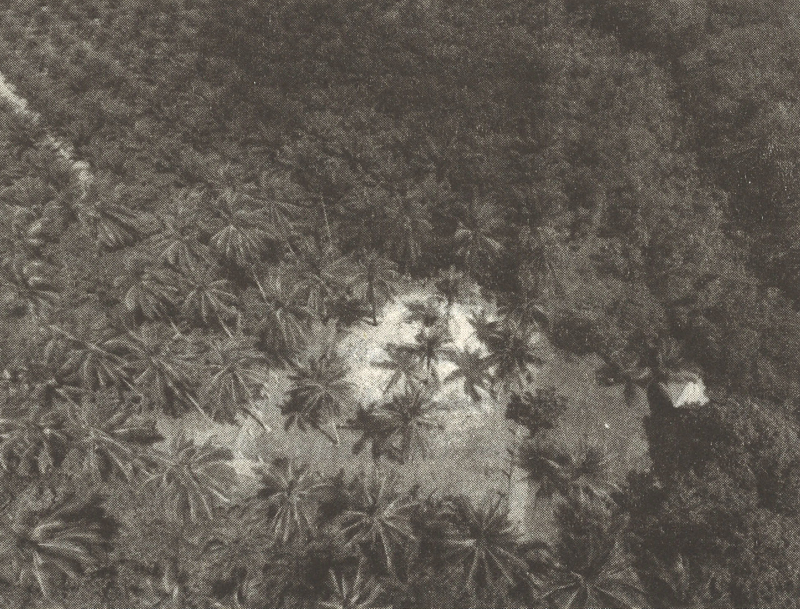 Aerial view of the Kawal Darat shell midden in Bintan. Image reproduced from Taufiqurrahman Setiawan, “Melihat Kembali nilai penting Bukit Kerang Kawal Darat,” in Daratan dan Kepulauan Riau: Dalam Catatan Arkeologi dan Sejarah ed. Sofwan Noerwidi (Jakarta: PT. Pustaka Obor Indonesia, 2021), 87. (From National Library, Singapore, call no. RSEA 959.81 DAR).