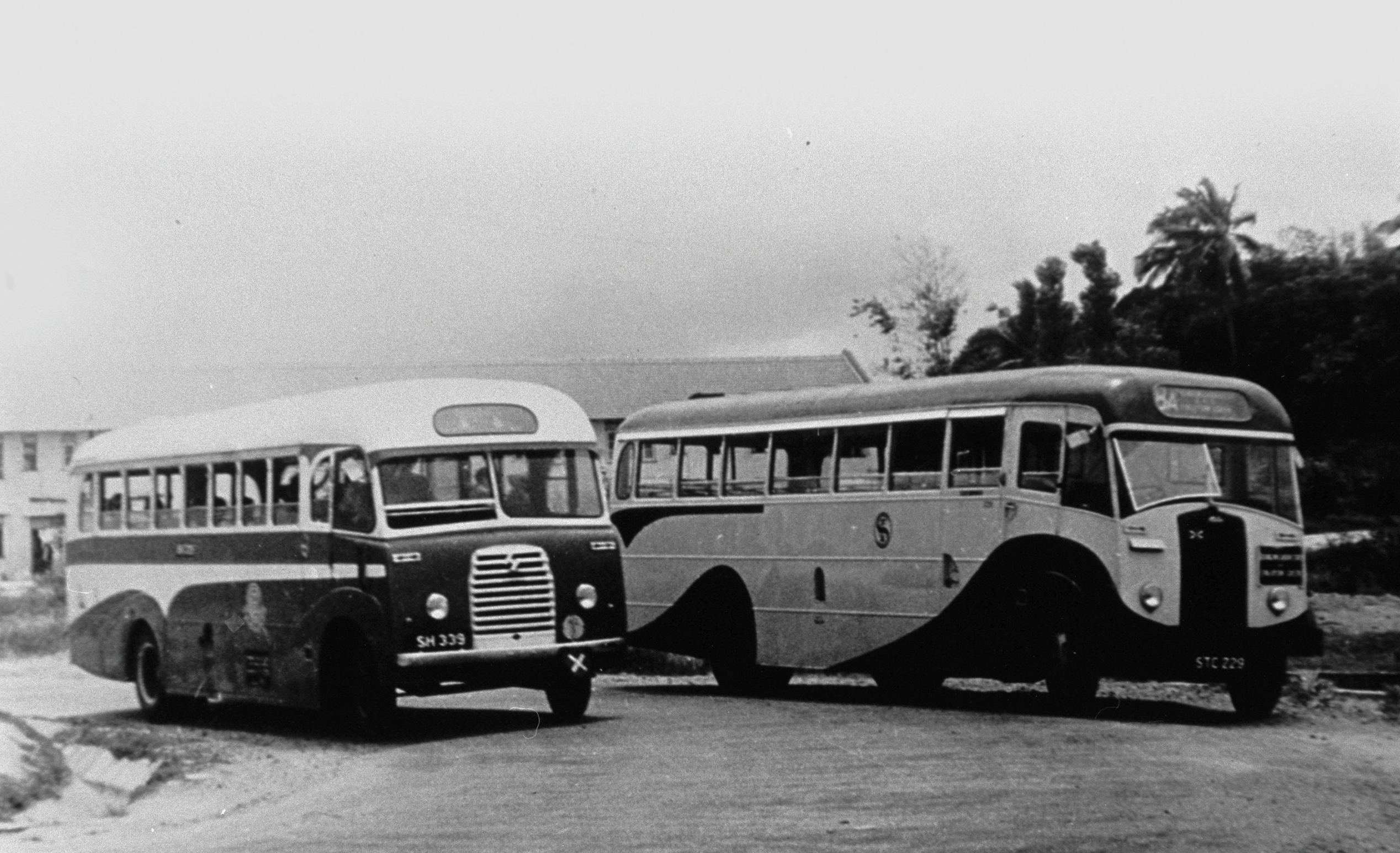 Two buses belonging to the Singapore Traction Company, 1950s. F W York Collection, courtesy of National Archives of Singapore.