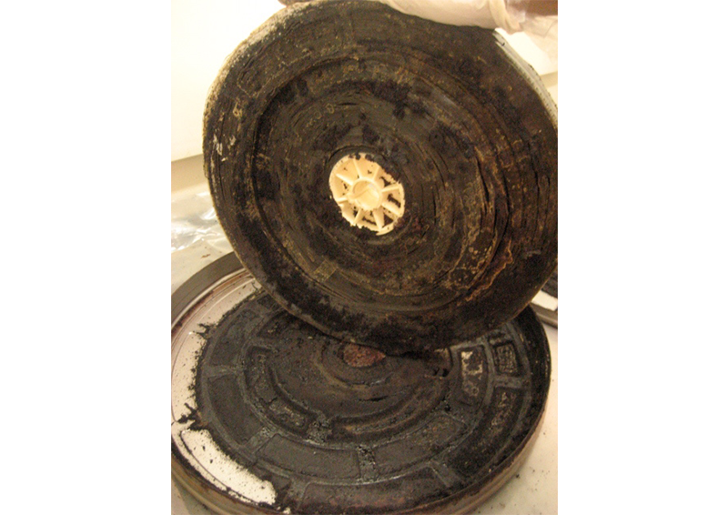 Due to severe disintegration, many 35 mm picture and sound negatives of titles such as Ikan Emas (1965), Hati Batu (1973) and Selamat Hari Raya (1955) were deemed unsalvageable. These reels had to be environmentally discarded to prevent them from infecting the rest of the collection. Courtesy of Asian Film Archive.