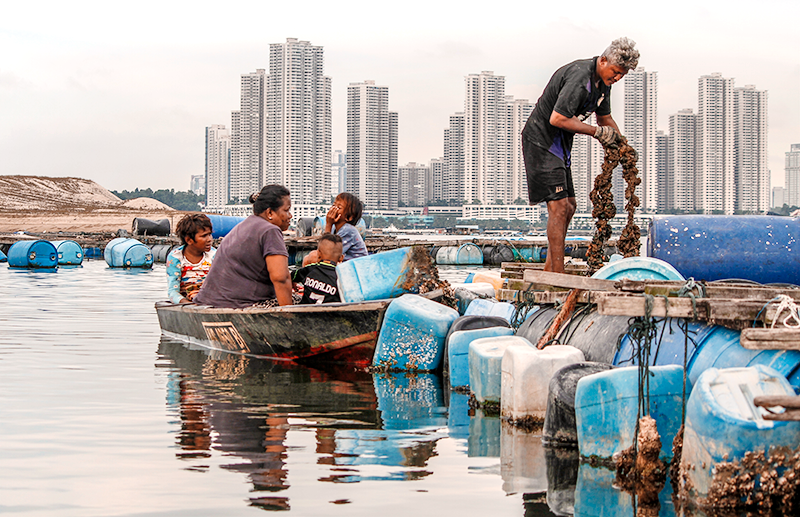 The Orang Seletar rearing mussels at Kampung Sungai Temon in Johor Bahru, overlooking high-rise waterfront development in the background, 2018. Photo courtesy of Jefree bin Salim.