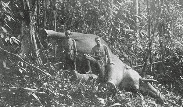 Theodore Hubback (right) was a Pahang planter and former game hunter. Here he is seen posing with a dead elephant. Hubback later became an “indefatigable champion of Malayan wildlife” and Chairman of the Wild Animals and Wild Birds Committee. Image reproduced from Hubback, T.R. (1912). Three Months in Pahang in Search of Big Game (between pp. 58 and 59). Singapore: Kelly & Walsh, Limited. Retrieved from BookSG. Collection of the National Library, Singapore. (Call no.: RRARE 799.295113 HUB; Accession no B02835767E).
