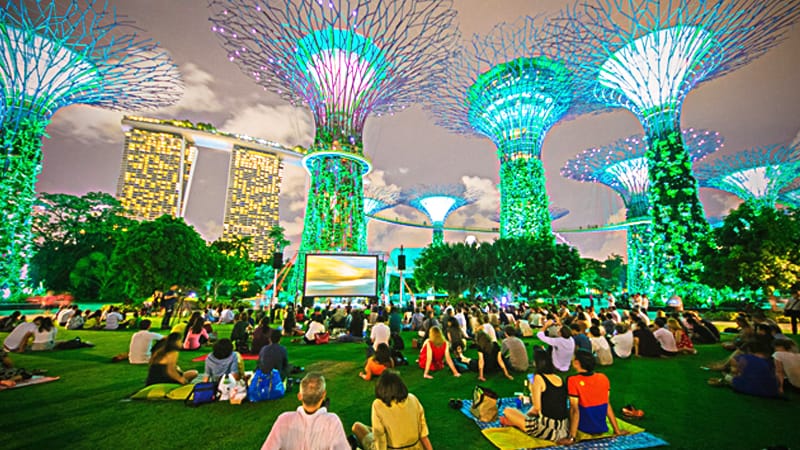 The Supertree Grove at Gardens by the Bay, 2012. Ranging from 25 m to 50 m tall, some of these structures act as vertical gardens and are able to harvest rainwater and solar energy. Courtesy of Gardens by the Bay.