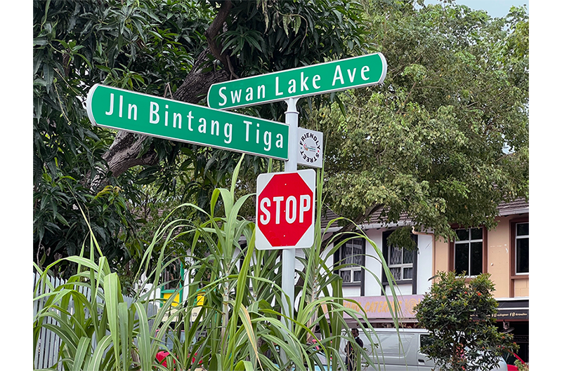 Swan Lake Avenue is named after a ballet by the Russian composer Pyotr Ilyich Tchaikovsky. Jalan Bintang Tiga is derived from Jula Juli Bintang Tiga, a popular Malay bangsawan. Bintang tiga means “three stars” in Malay. Photo by and courtesy of Veronica Chee.