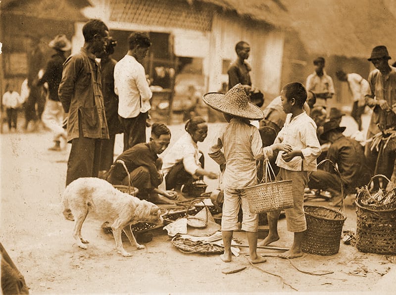 A stray dog sniffing the goods of a hawker. From as early as the 1830s, stray dogs had roamed the town of Singapore in packs, creating a nuisance for some. The authorities carried out dog-culling exercises to control the canine population. Courtesy of National Museum of Singapore, National Heritage Board.