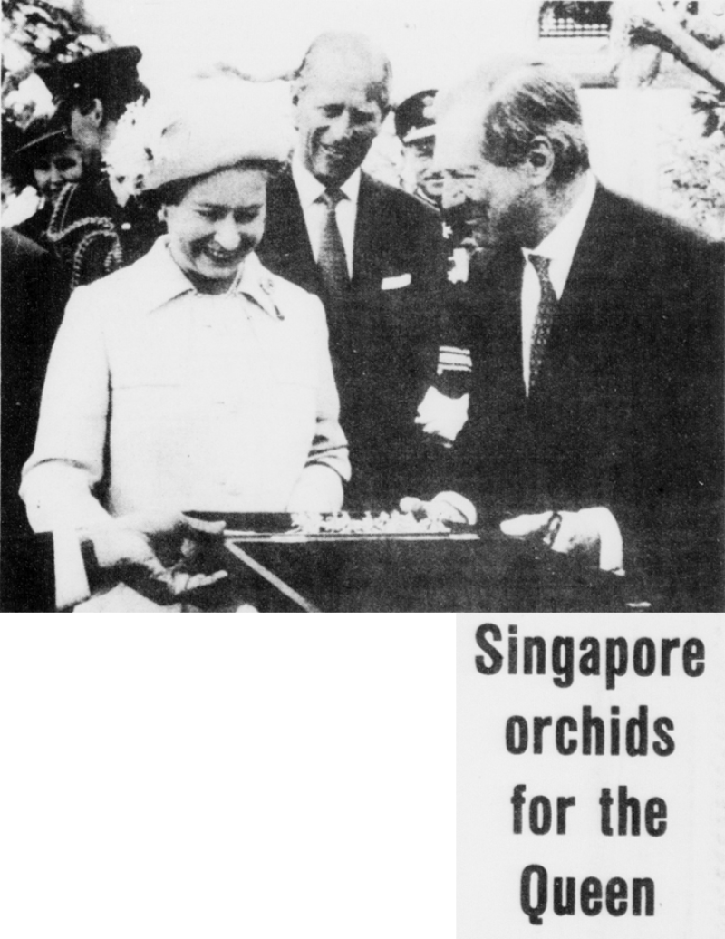Lord Aberconway, Britain’s Commissioner-General, presenting Queen Elizabeth with her namesake RISIS gold-plated orchids at the International Garden Festival in Liverpool in 1984. Source: The Straits Times, 5 May 1984 © SPH Media Limited. Permission required for reproduction.