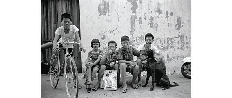 Five children sit on a ledge with a large bag and a dog beside them, while another child stands next to a bicycle.