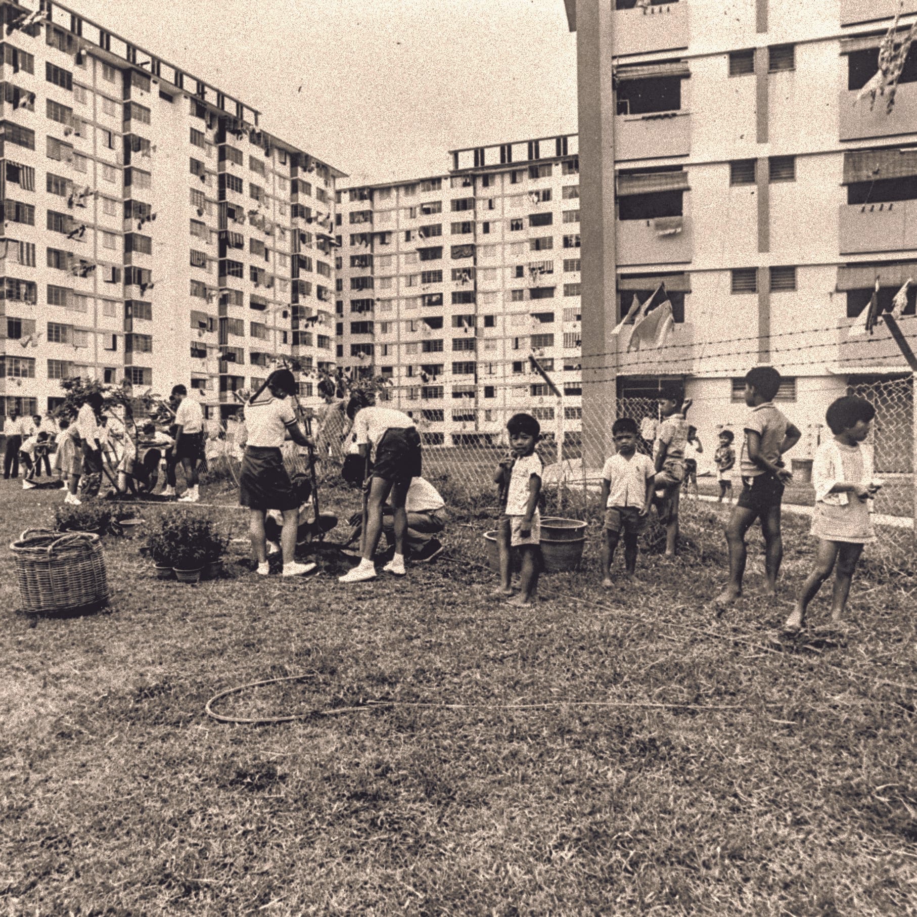 Students planting trees at Princess Estate on Alexandra Road, 1969. Courtesy of National Archives of Singapore.
