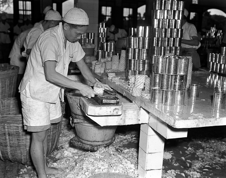 Workers at a pineapple canning factory, 1952. Ministry of Information and the Arts Collection, courtesy of National Archives of Singapore.