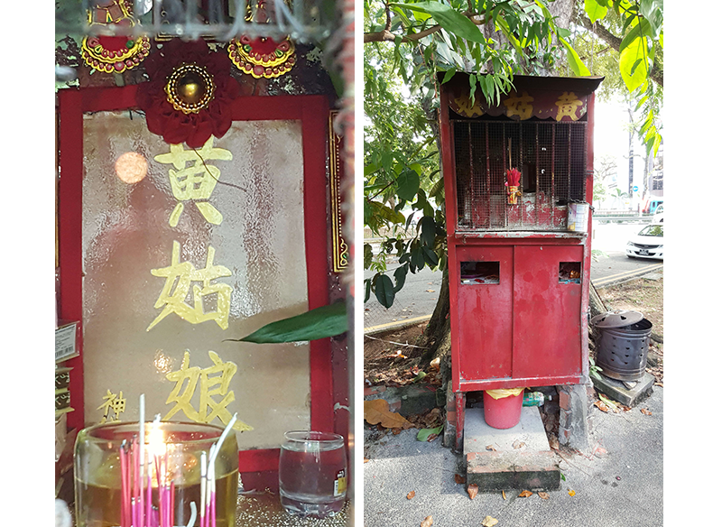 Huang Guniang’s former tablet (left) and shrine (right) erected beneath a tree in the compound of the Singapore General Hospital. The shrine was cleared in 2017. Courtesy of Victor Yue.