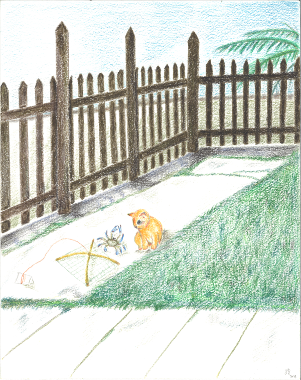 花蟹与橘猫。Illustrated by Ang Seow Leng.