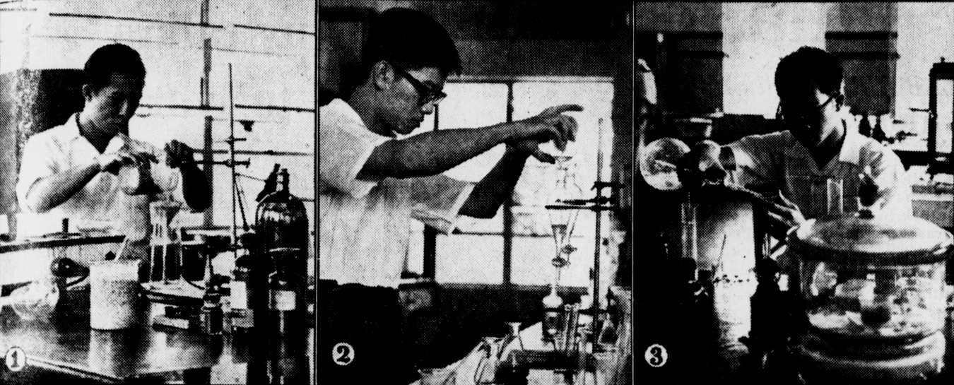 Dr Lee Kum Tatt (left) and his team, Theng Chye Yam (middle) and Ng Hon Wing (right), at work in the laboratory in search of the toxin that killed eight children in 1959.  Image reproduced from “Barley Deaths: The Lab Boys Get to Work…,” Straits Budget, 16 September 1959, 13. (From NewspaperSG).