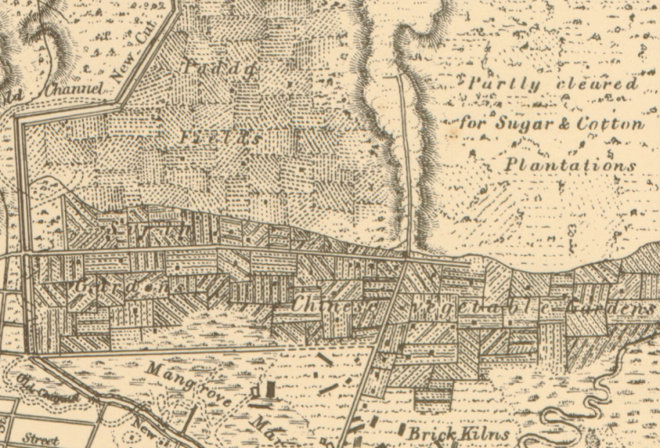 Detailed historical map showing roadways, canals, plantations, and various geographic features in an urban area.