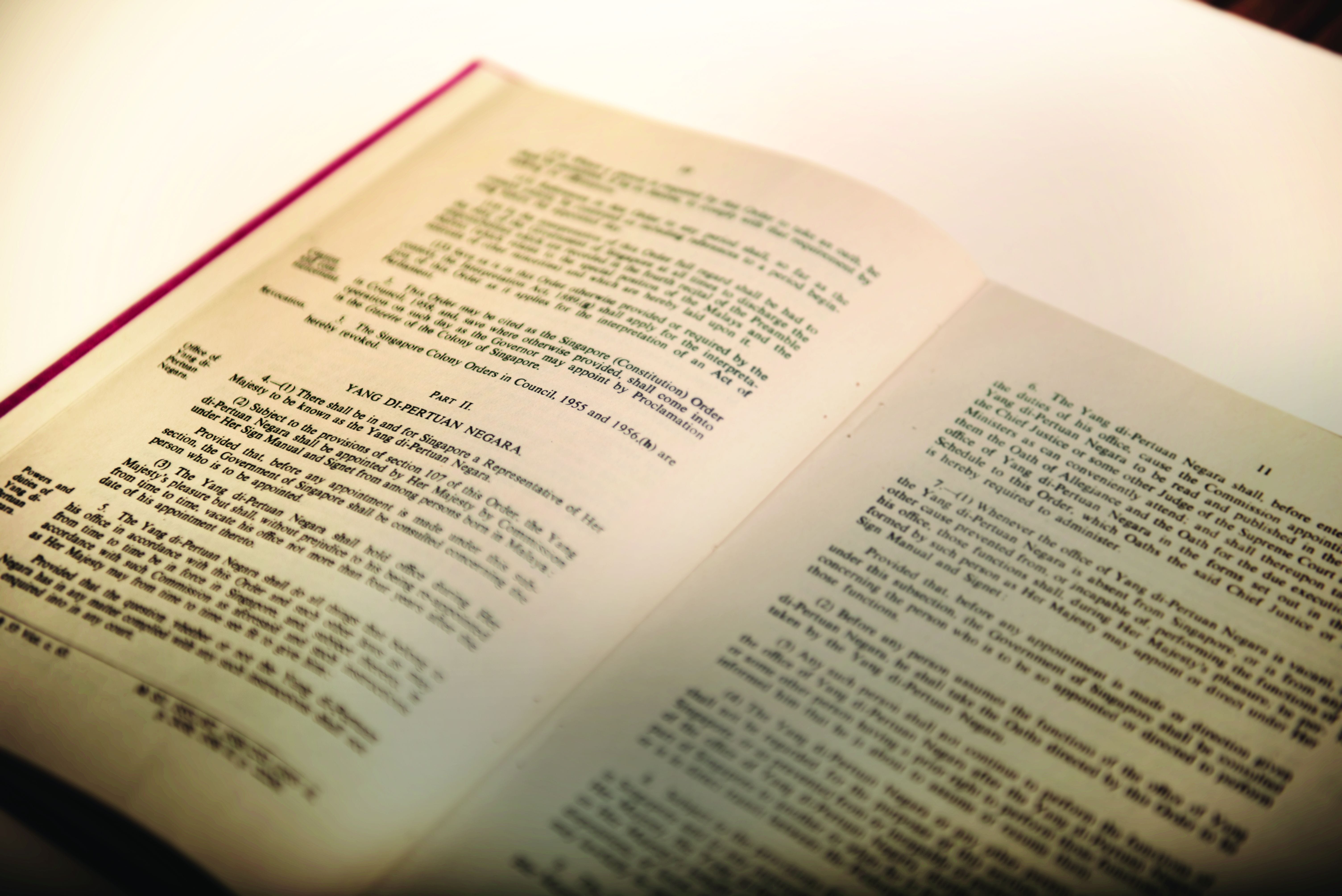 An open book showing pages with text laying flat on a white surface.