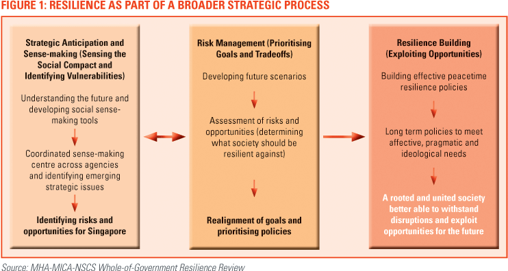Diagram showing three stages: Strategic Anticipation, Risk Management, and Resilience Building with goal adjustments and policy focus.