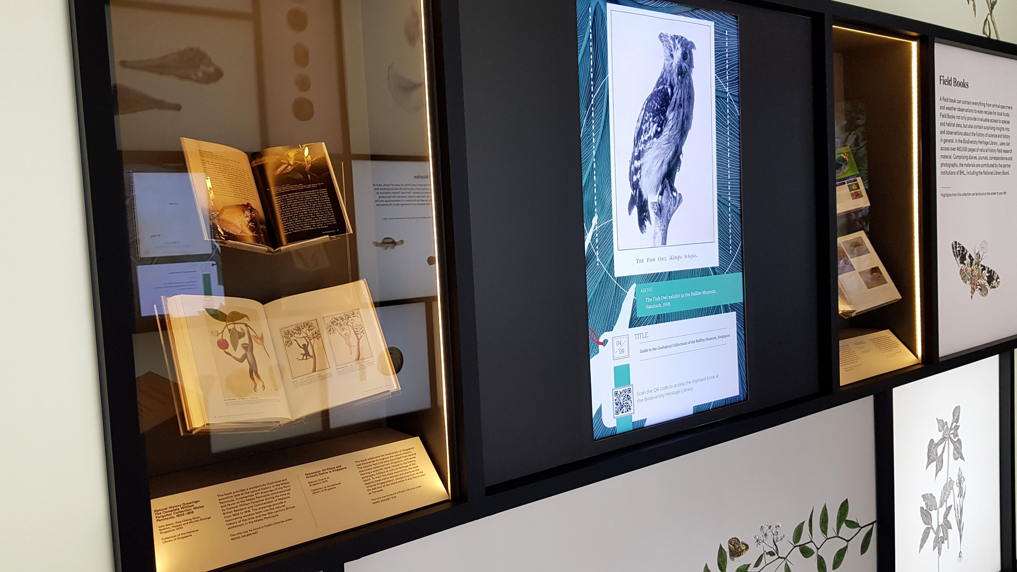 Display case with a large map and an opened book on metal stands in a dimly lit museum setting.