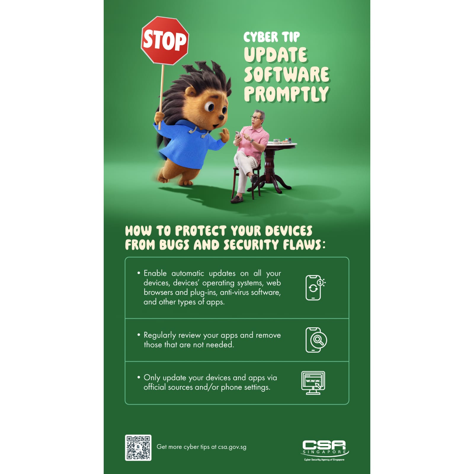 Infographics teaching how to protect your devices from bugs and security flaws