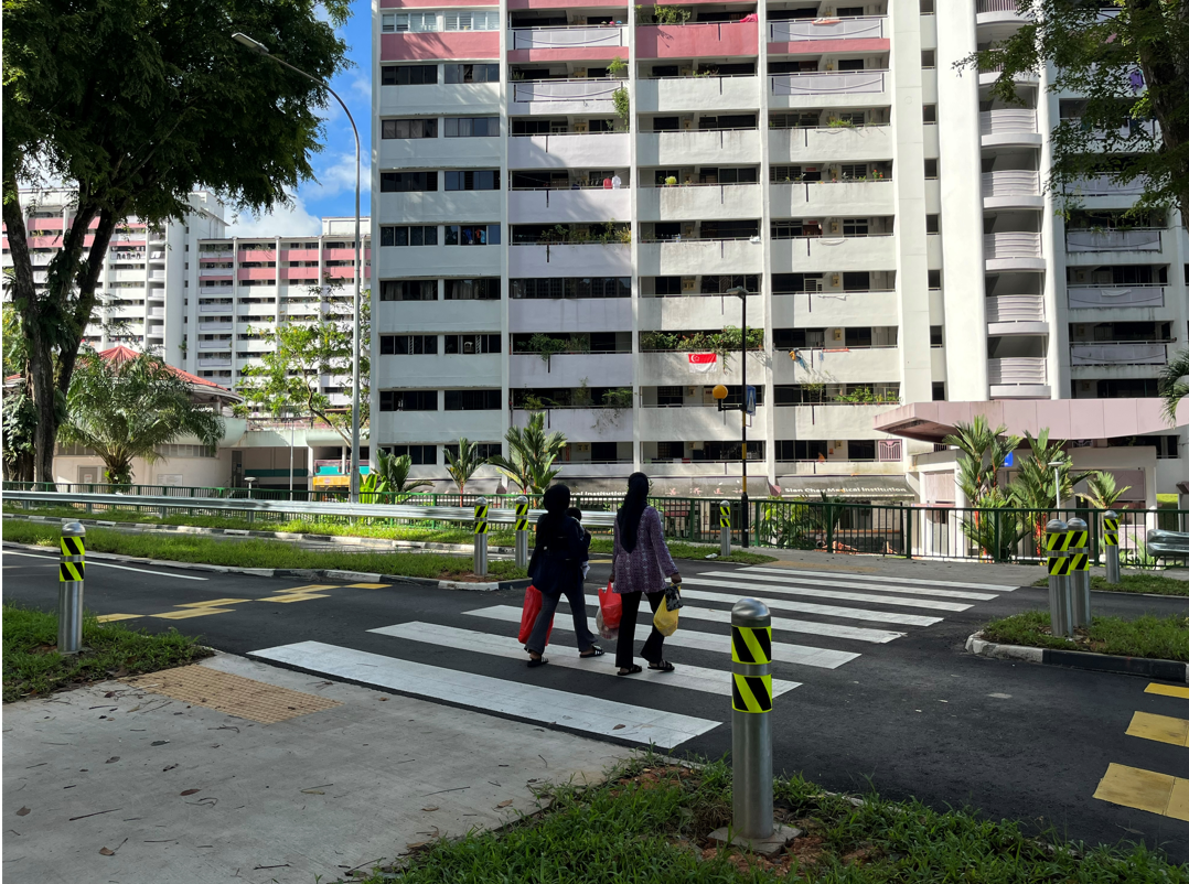 Raised Zebra Crossing (dual 1 lane) with Silver Zone bollards