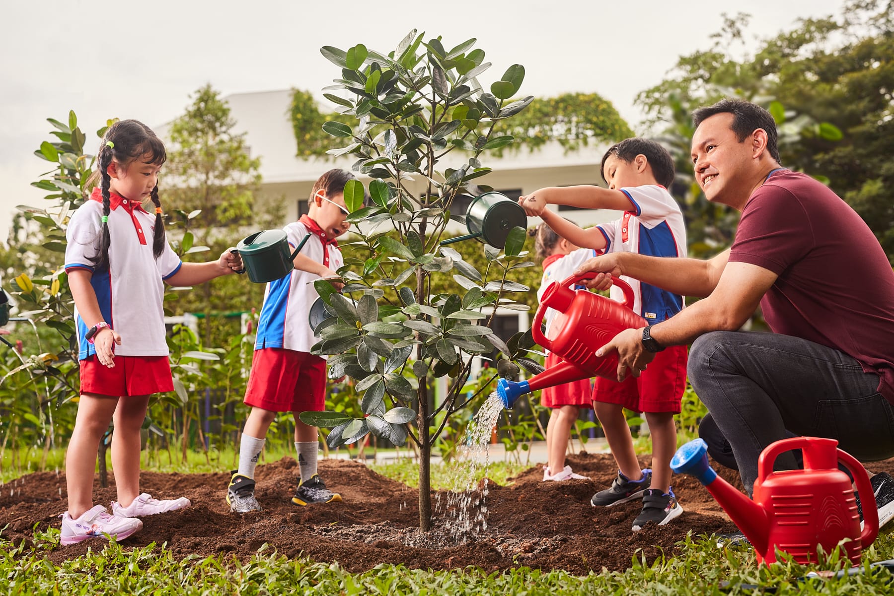 Tree planting by NTUC Kids