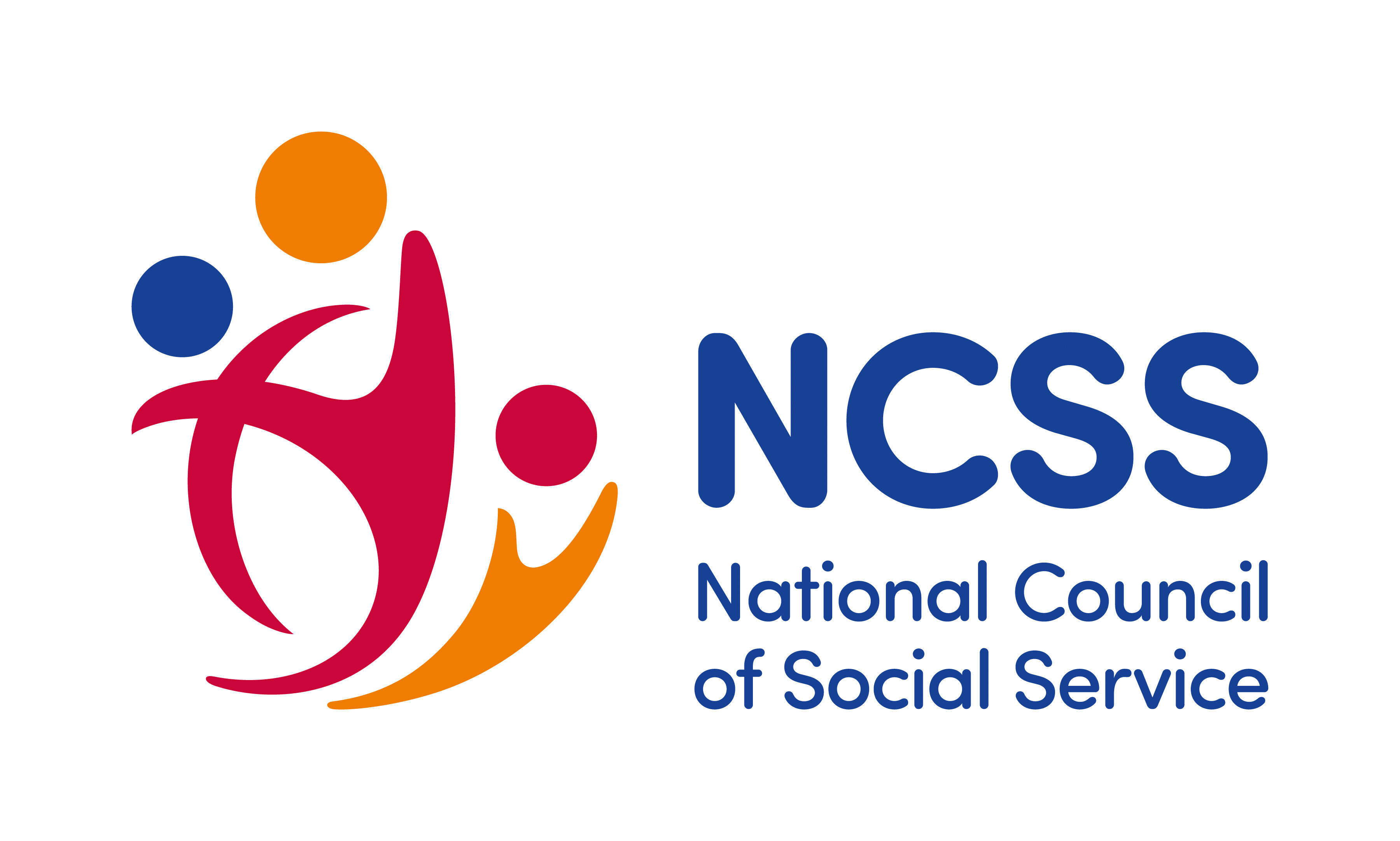 Colorful abstract figures next to "NCSS National Council of Social Service" written in blue text.