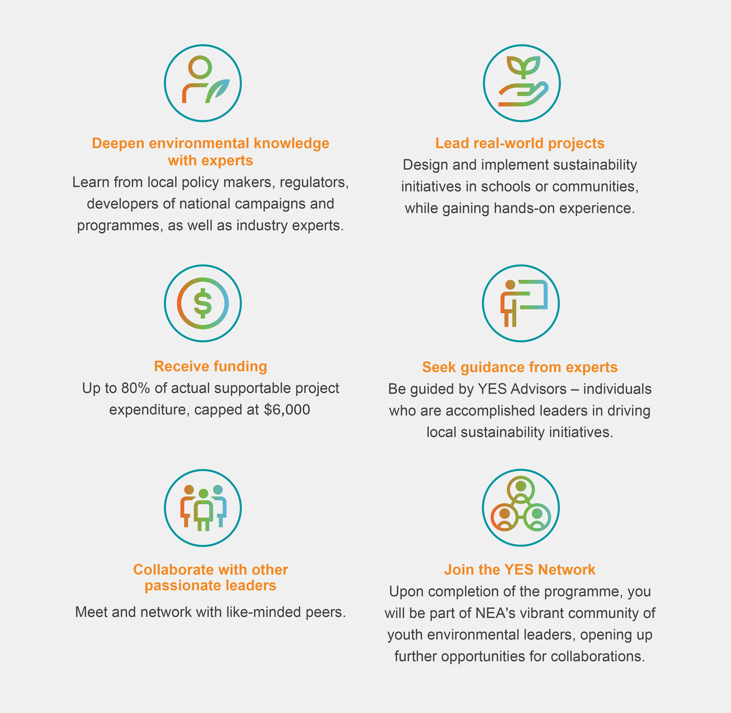Icons with text describing YES programme benefits: expert knowledge, real-world projects, funding, guidance, collaboration, and networking.