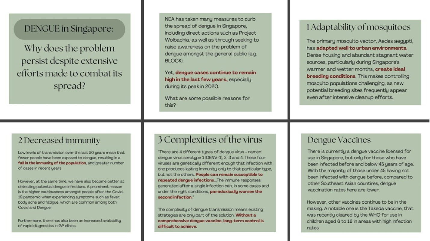 Infographic with six green panels explaining why dengue persists in Singapore despite control efforts.