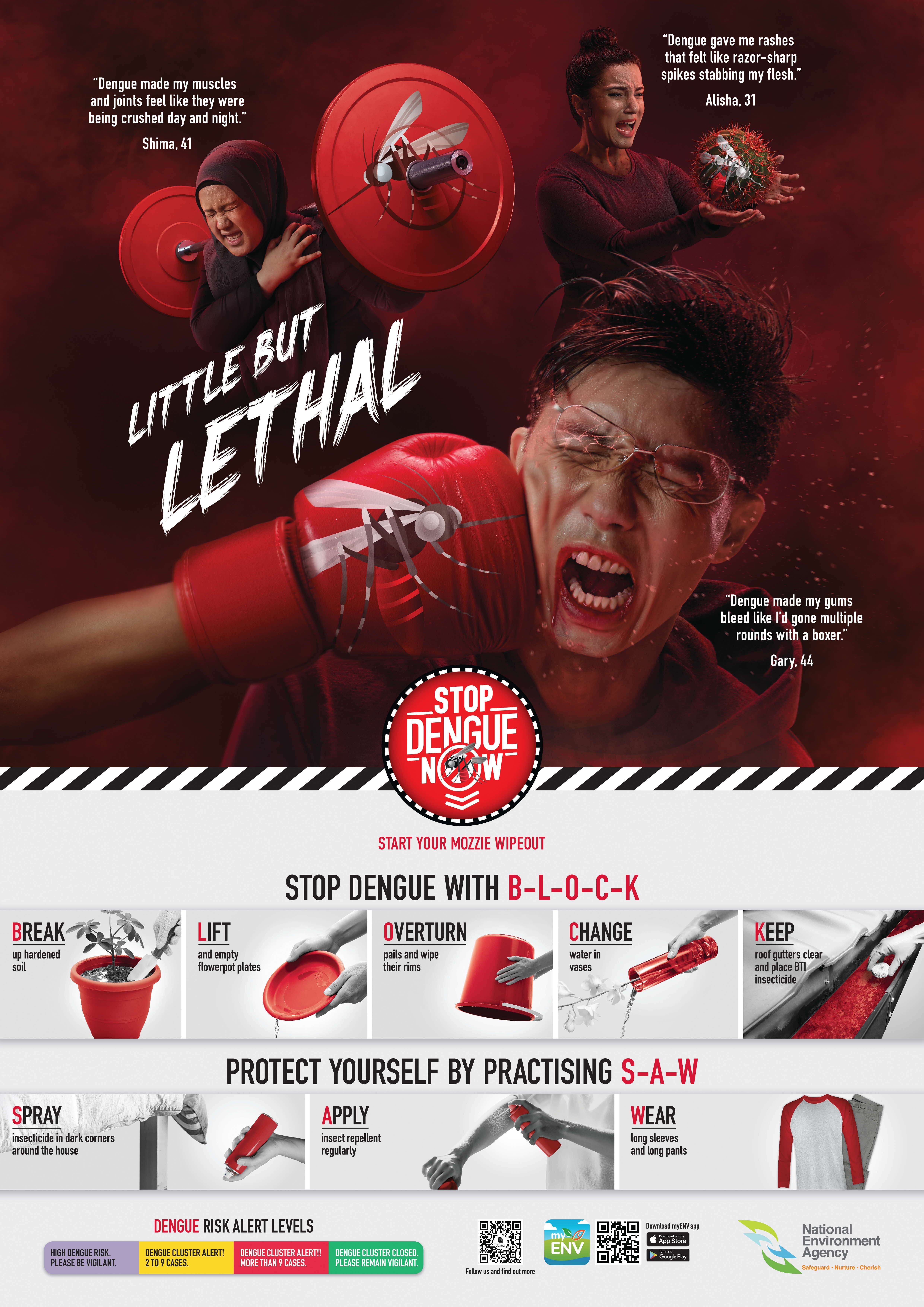 A dengue awareness poster titled Little But Lethal, with BLOCK and SAW prevention tips.