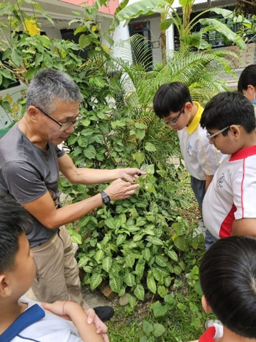 An adult man with glasses shows plant leaves to a group of young students in a lush outdoor garden.