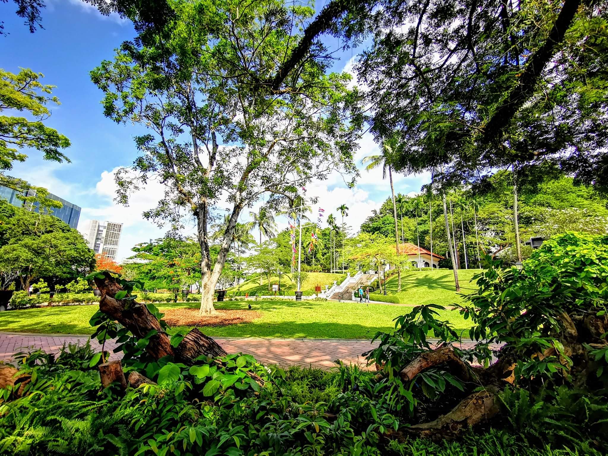 first botanic garden photo in fort canning hill