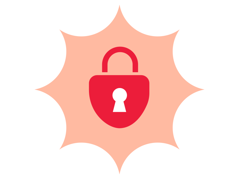 Digital Security icon.