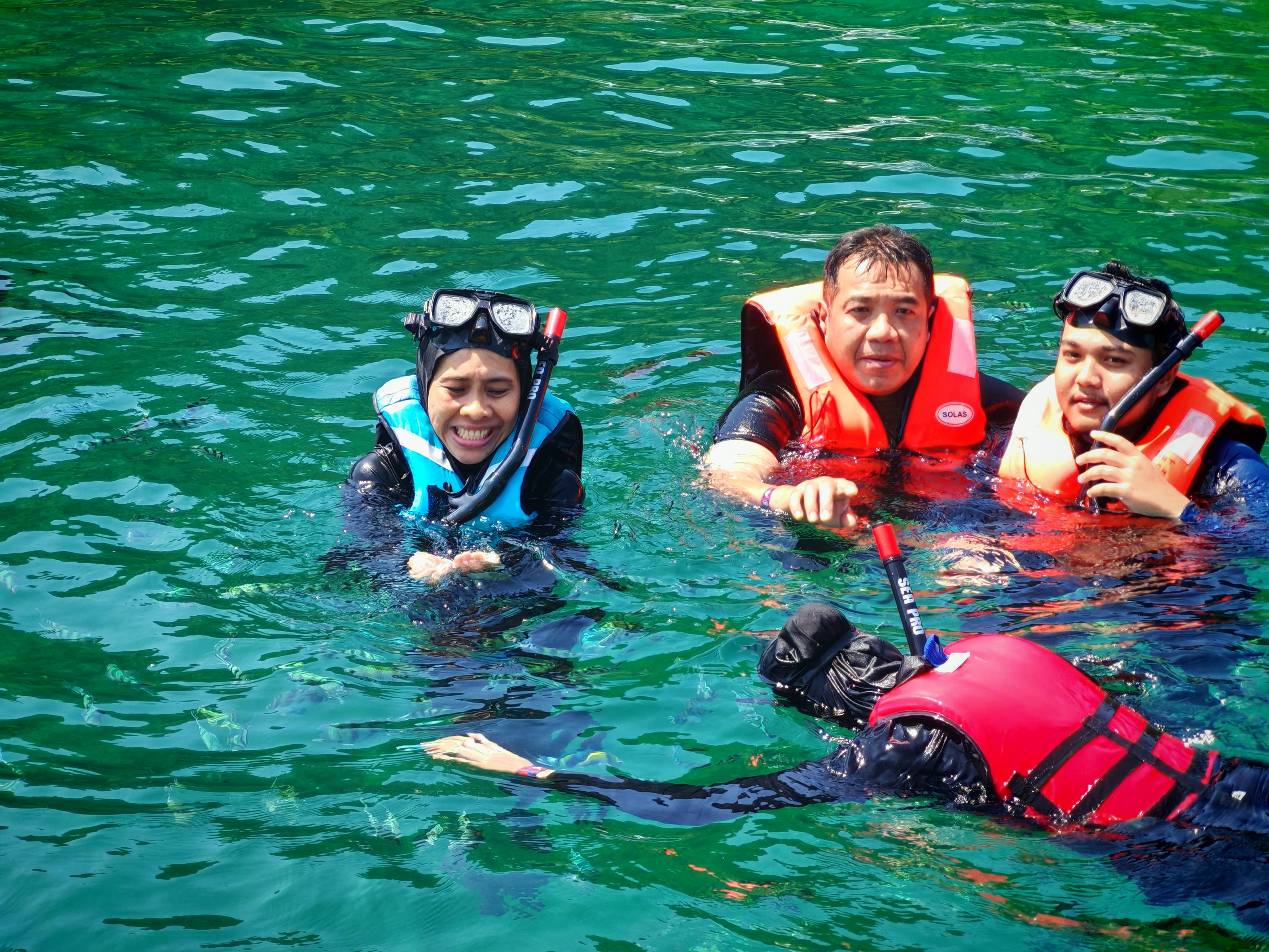 Participants wearing snorkelling gear and life jackets float in the sea while observing marine life below the surface.