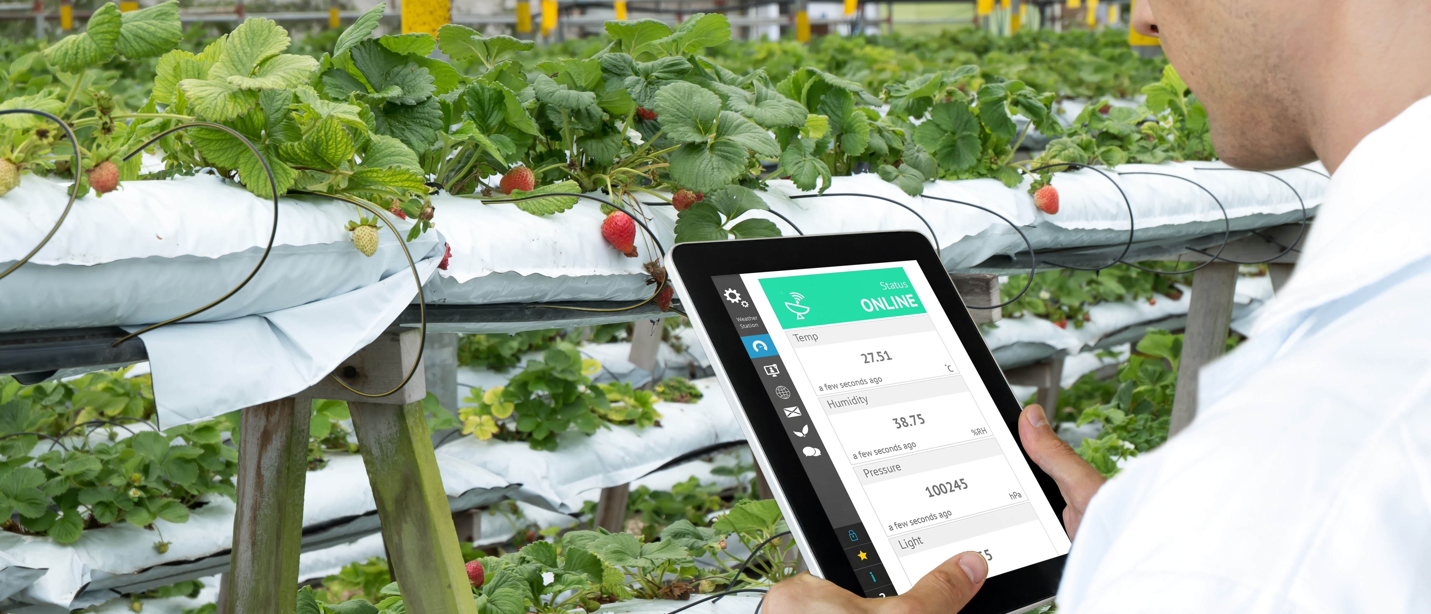 An individual looking at the statistics of a harvest on a digital screen