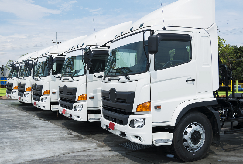 Row of white commercial trucks parked side by side in a fleet yard.