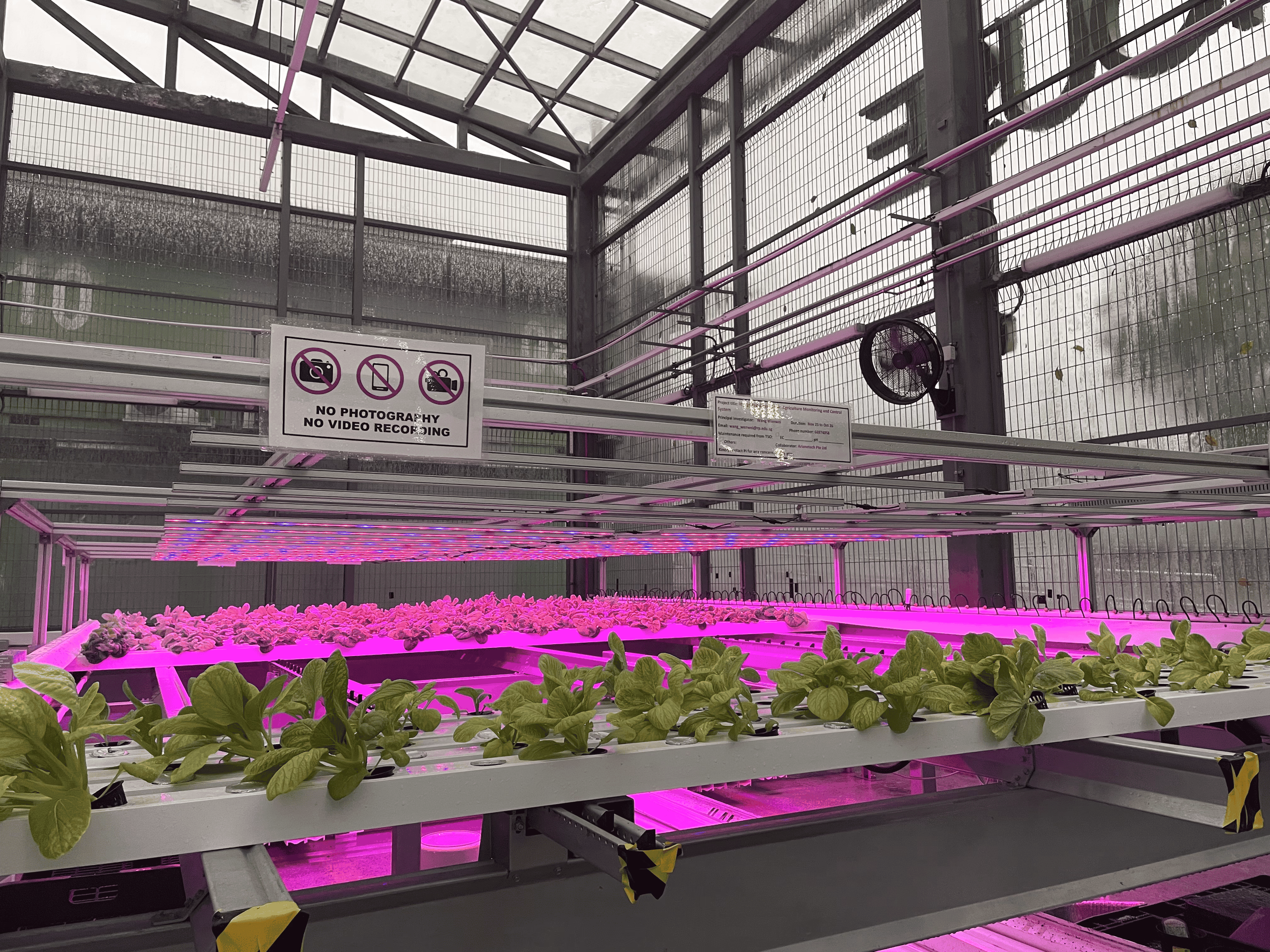 Intelligent Photosynthetically Active Radiation (PAR) Monitoring and Control System