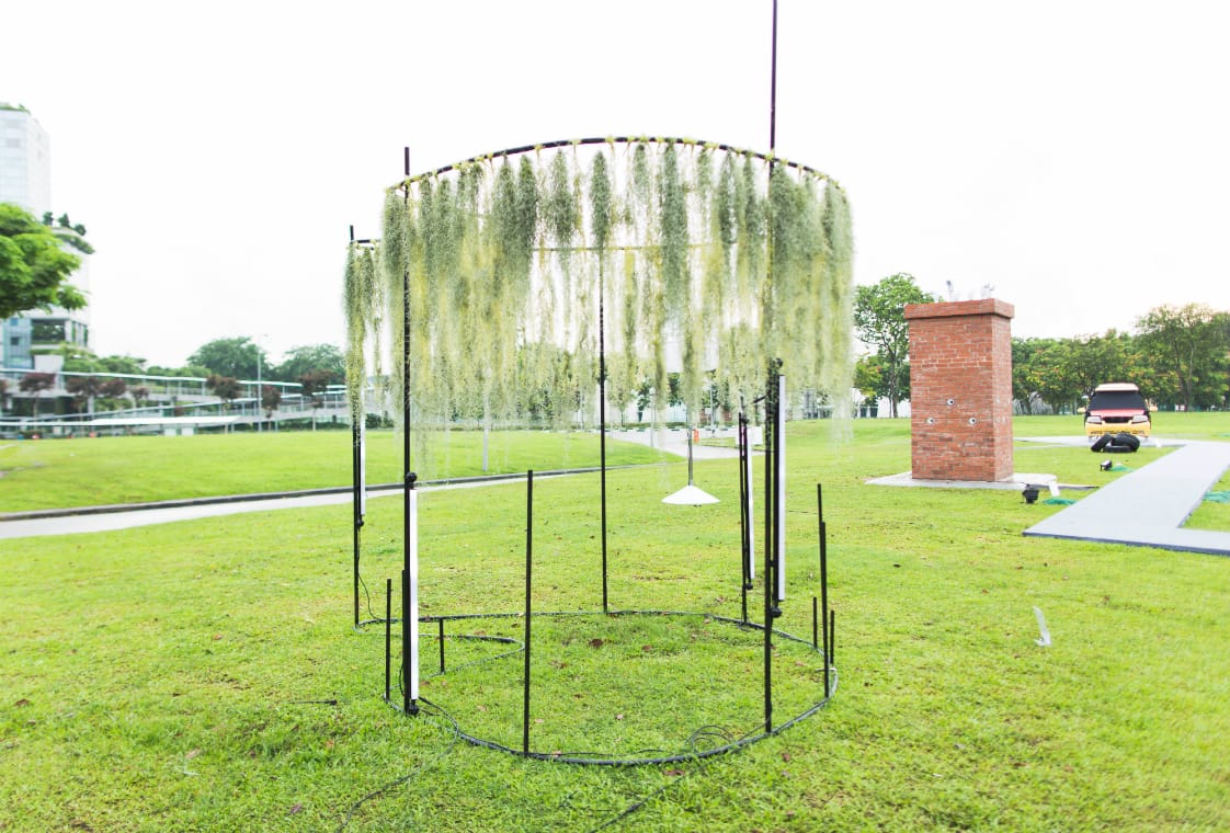 Hanging (Out) Garden Installation
