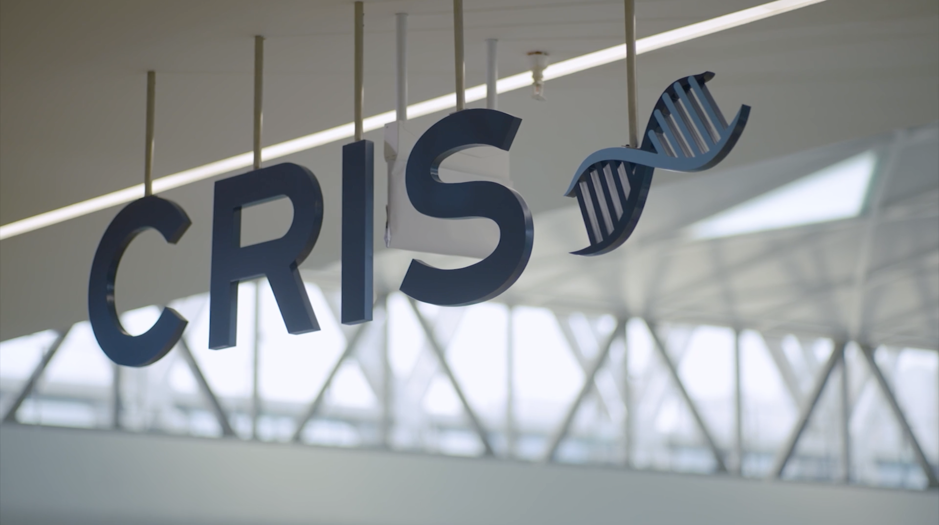 Dark blue letters spelling CRIS with a DNA double helix symbol, suspended from a ceiling in a bright indoor space.