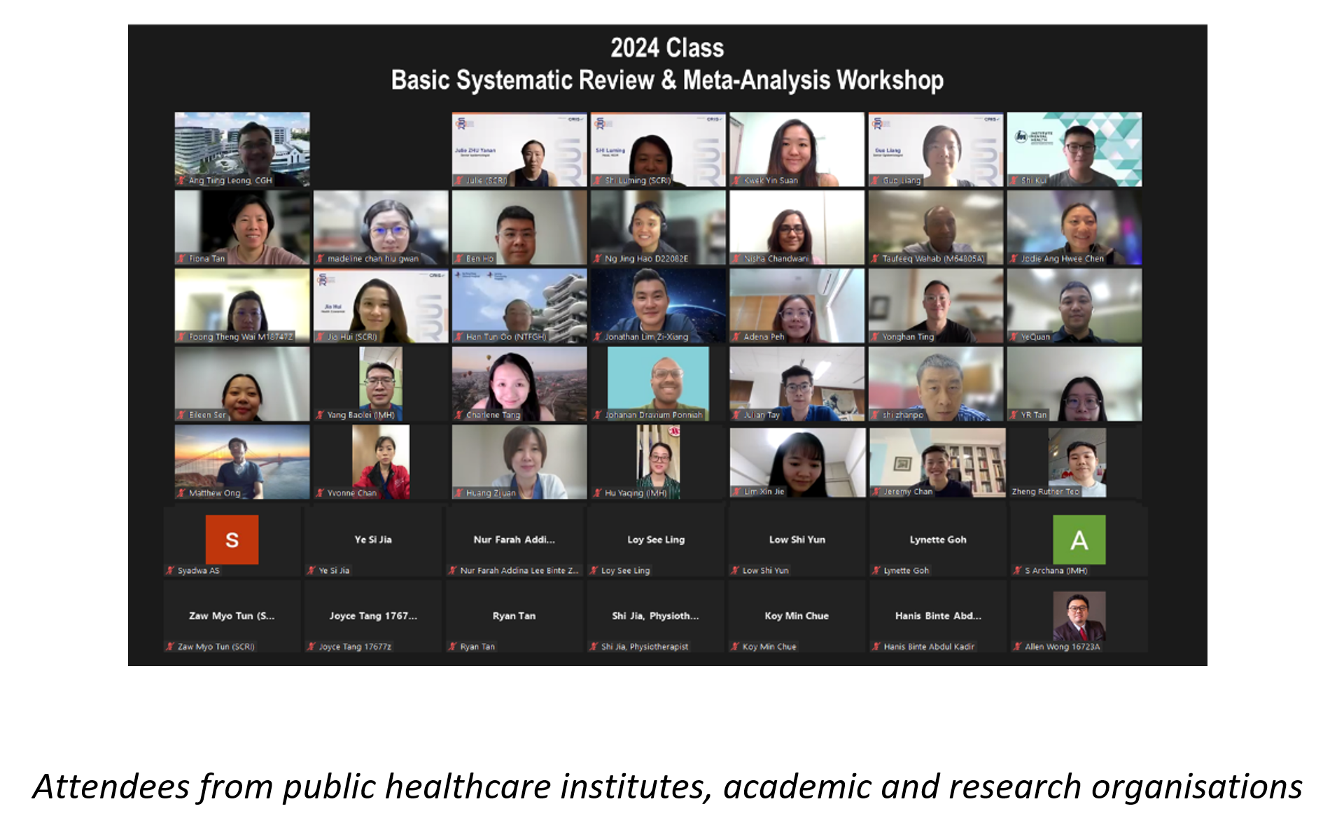 Virtual meeting screenshot showing many participants in the 2024 Basic Systematic Review and Meta-Analysis Workshop.