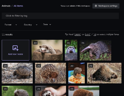 A media library grid showing 11 animal results, mostly hedgehogs and one armadillo, with an add new media button.