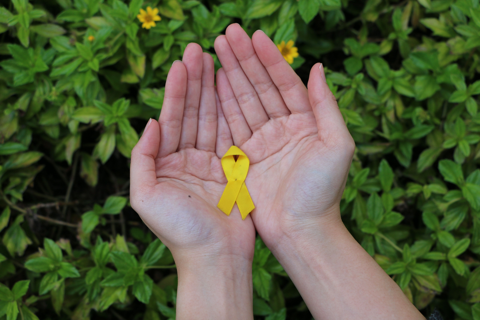 Two open palms holding a small yellow awareness ribbon, with green leafy plants in the background.