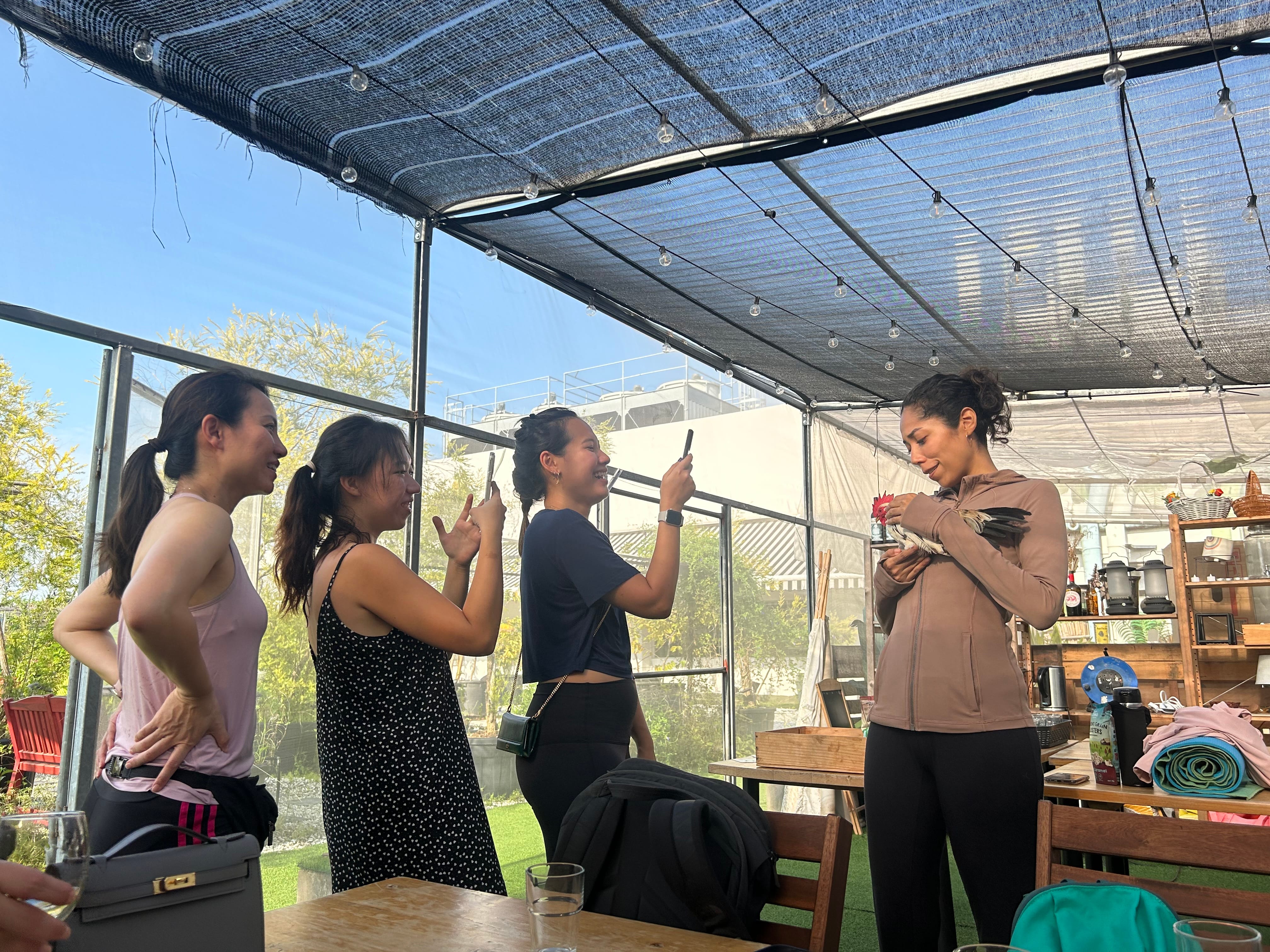 Three women smile and take photos as a fourth holds a small bird under a canopy with string lights.