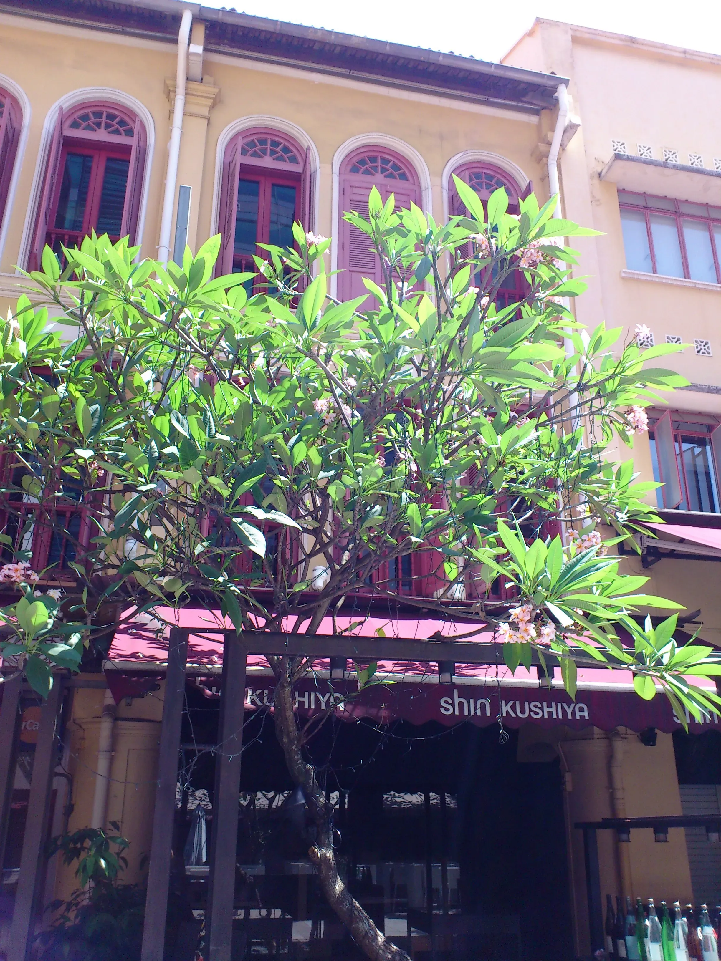 Front facade of 31 Pekin Street