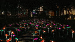 Take a walk through the meadow with me by Megan Tan and Tan Shao Xuan, presented by DesignSingapore Council