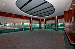 Empty room with carpet, dark wood trim, and large windows with roller shades.