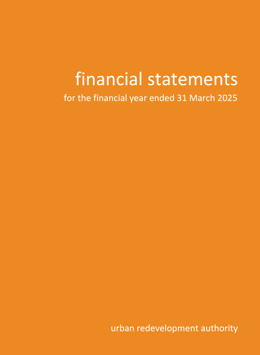 Financial statements for the financial year ended on 31 March 2025 cover in orange