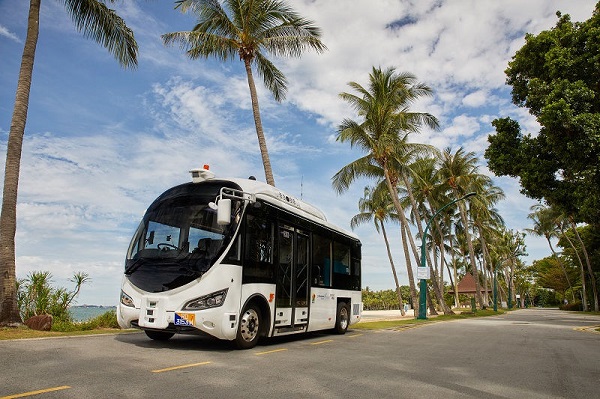 White electric shuttle bus on a road with palm trees and beach in the background.