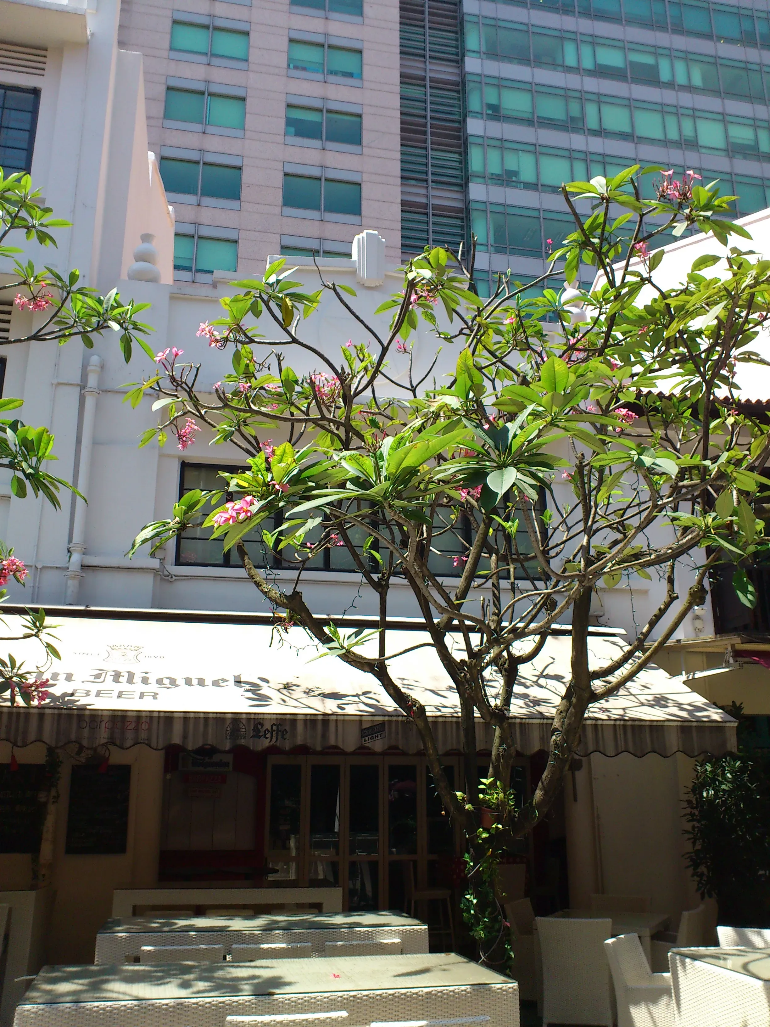 Front facade of 25 Church Street