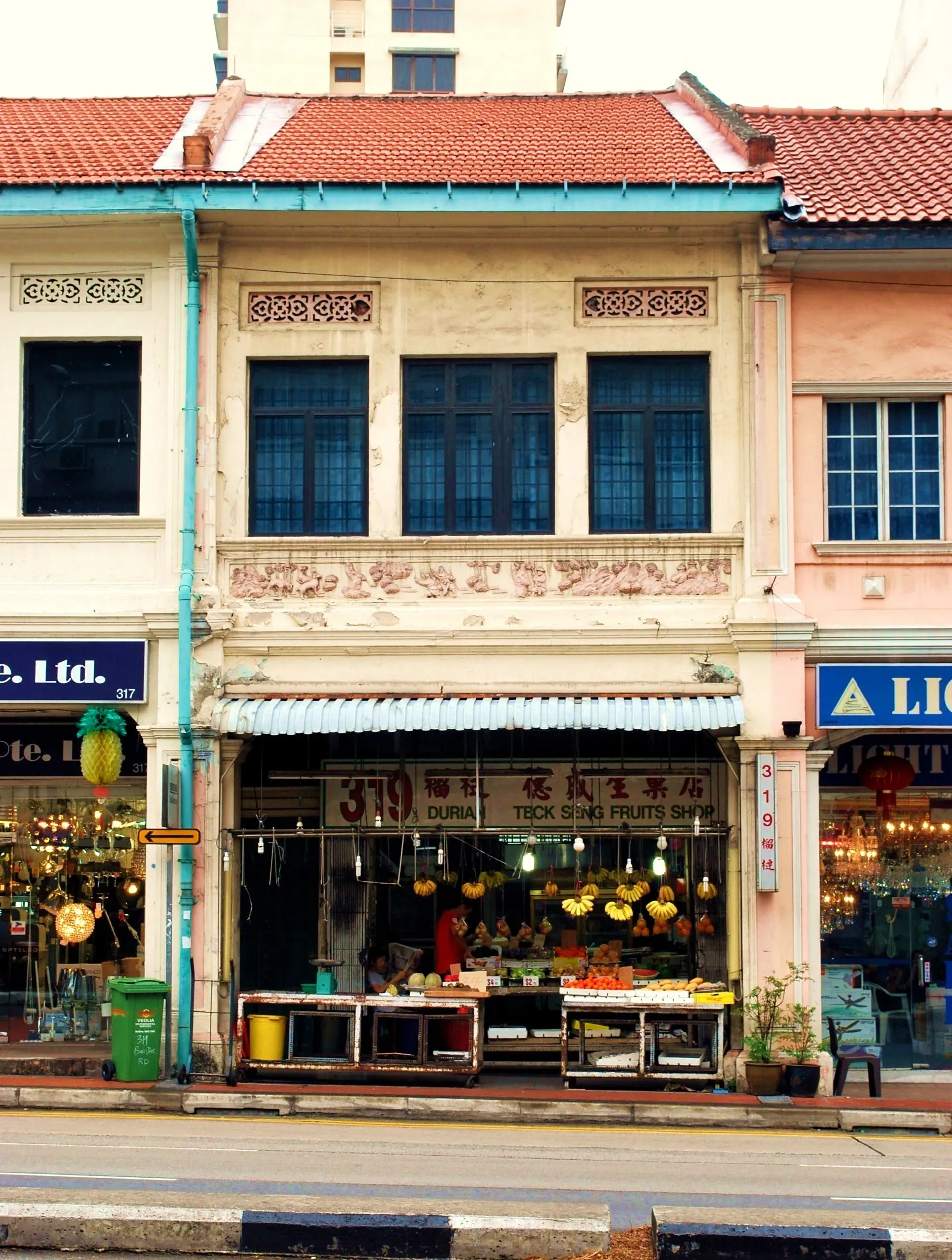 Front facade of 319 Balestier Road